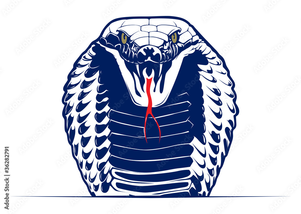 Fototapeta premium cobra snake