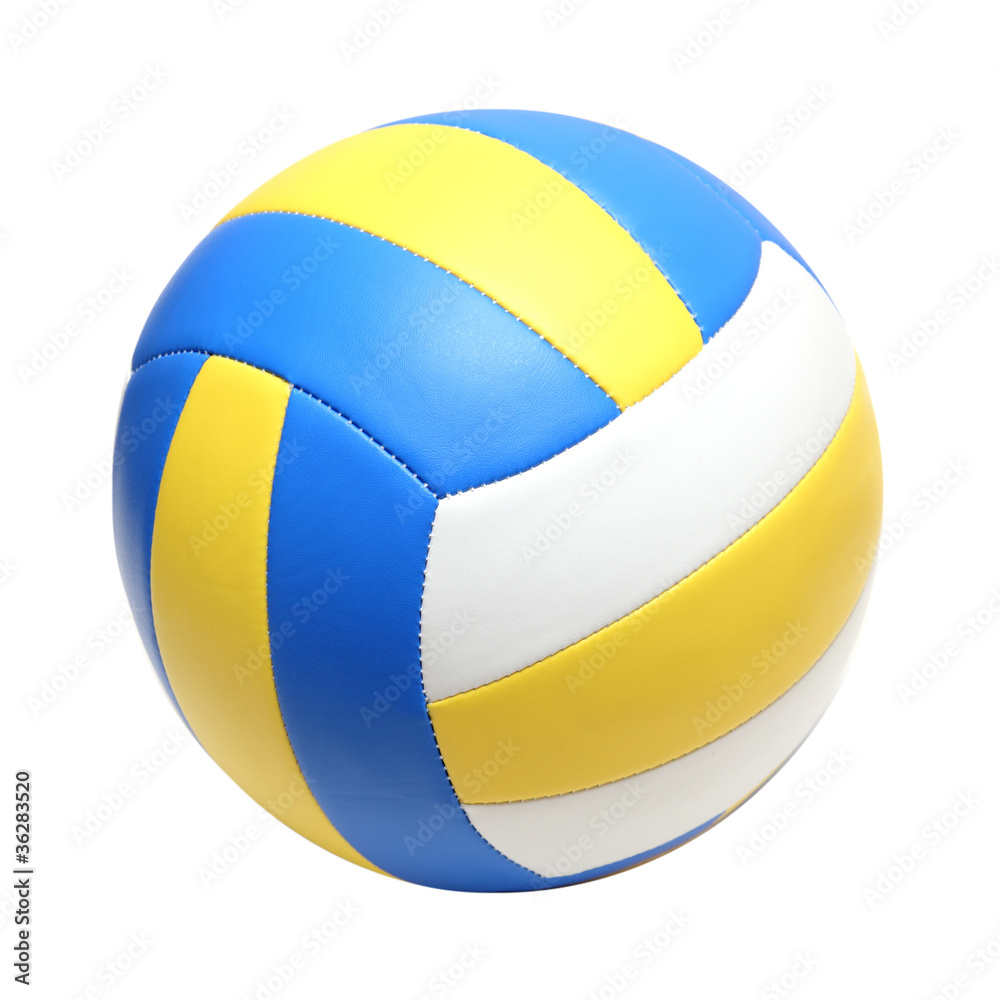 leather volleyball ball