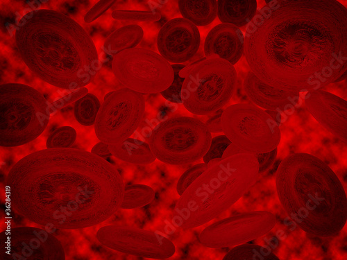 blood cells in blood system