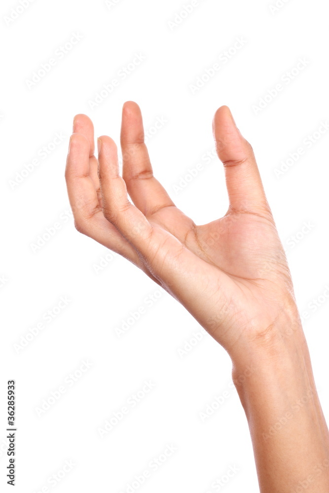 Hand isolated on white Hand isolated on white