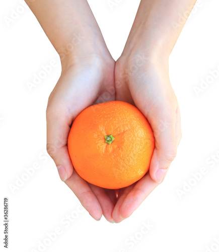 Hands holding orange isolated on white