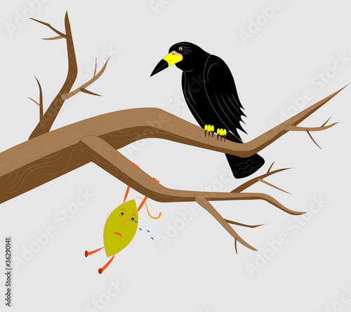 Rook and last sheet