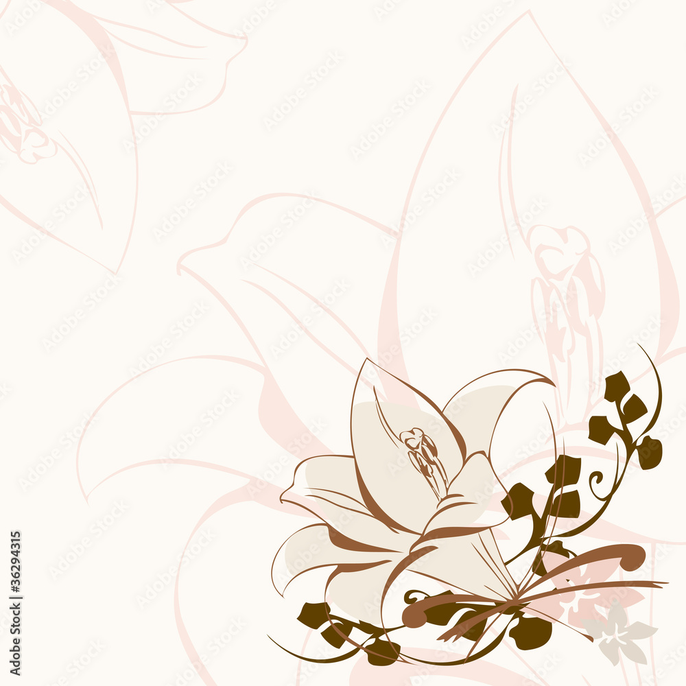 lily background