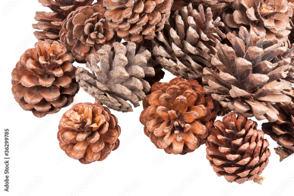 Stack of pine cones, isolated on white Stack of pine cones, isolated on white