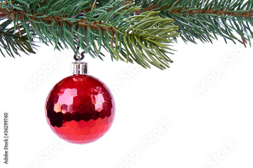 Christmas ball on green spruce branch