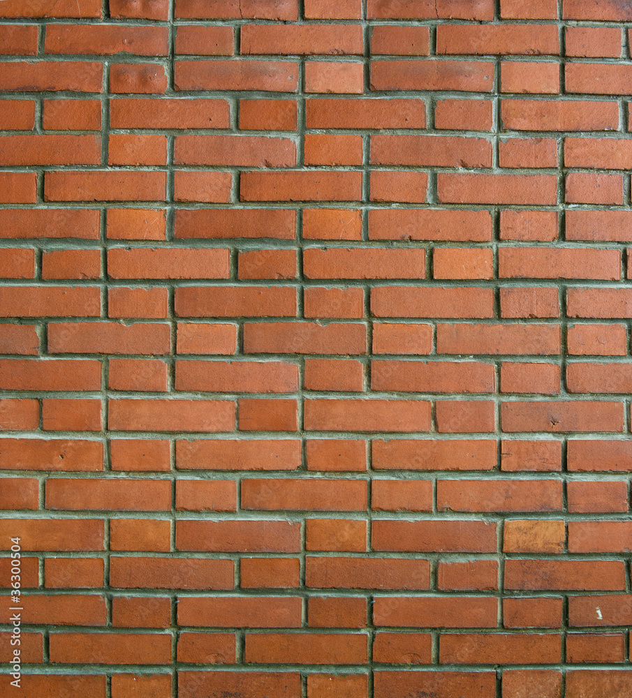 Obraz premium Brick Wall Texture