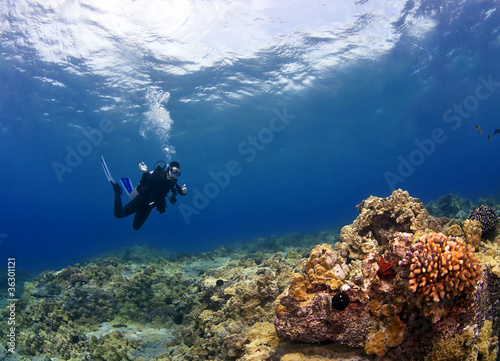 Diver checking out the Coral in Hawaii
