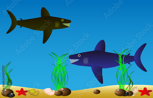 Sea life