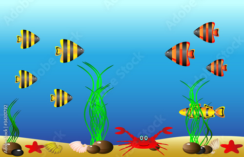 Sea life