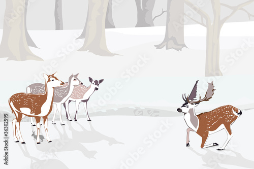 Snowy Forest Landscape