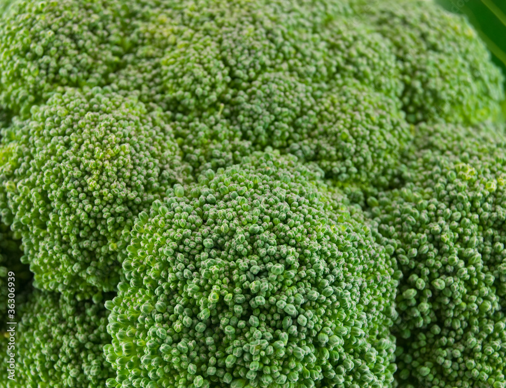 fresh green broccoli fresh green broccoli