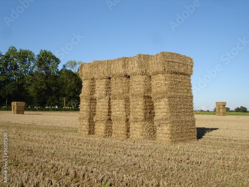 Chateaux de paille photo