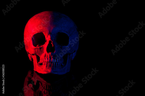 Scary human skull.