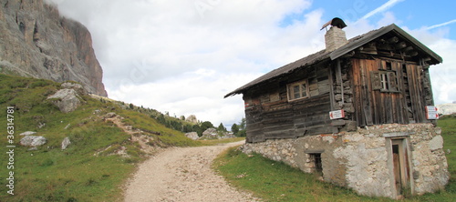 Sentiero ai piedi del Sassolungo,Dolomiti