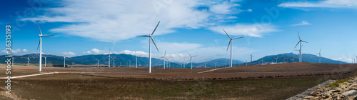 Windmills in summer landscape of Andalucia, Spain, Europe