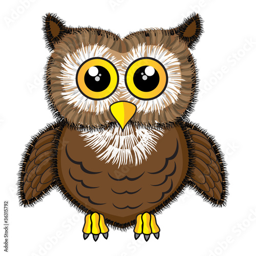 Cute looking owl