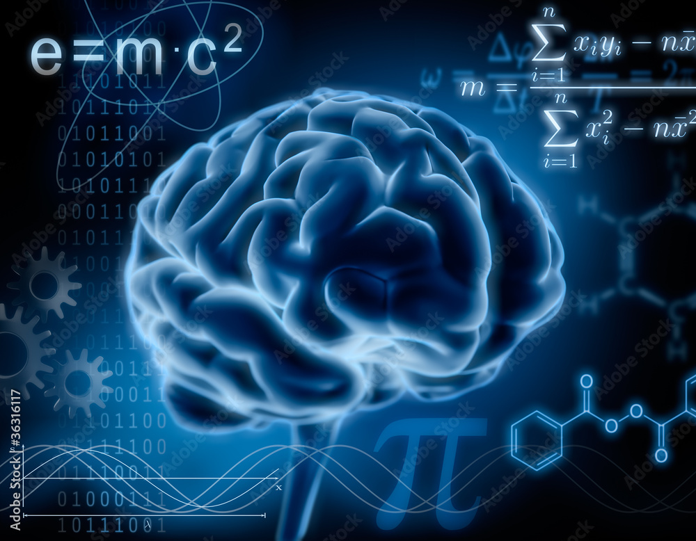 Intelligenz 2