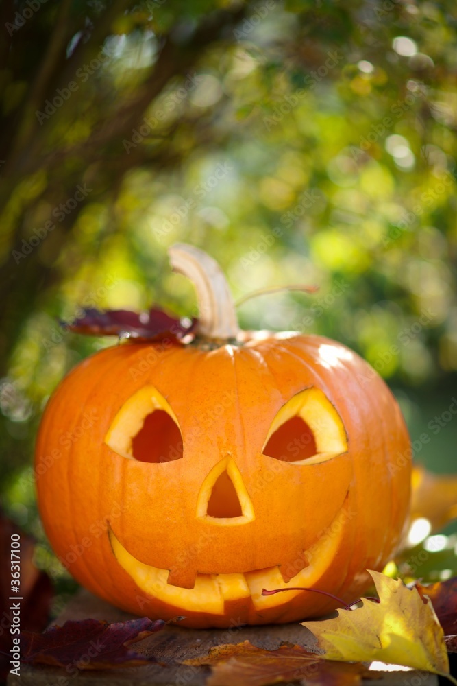 Halloween Halloween
