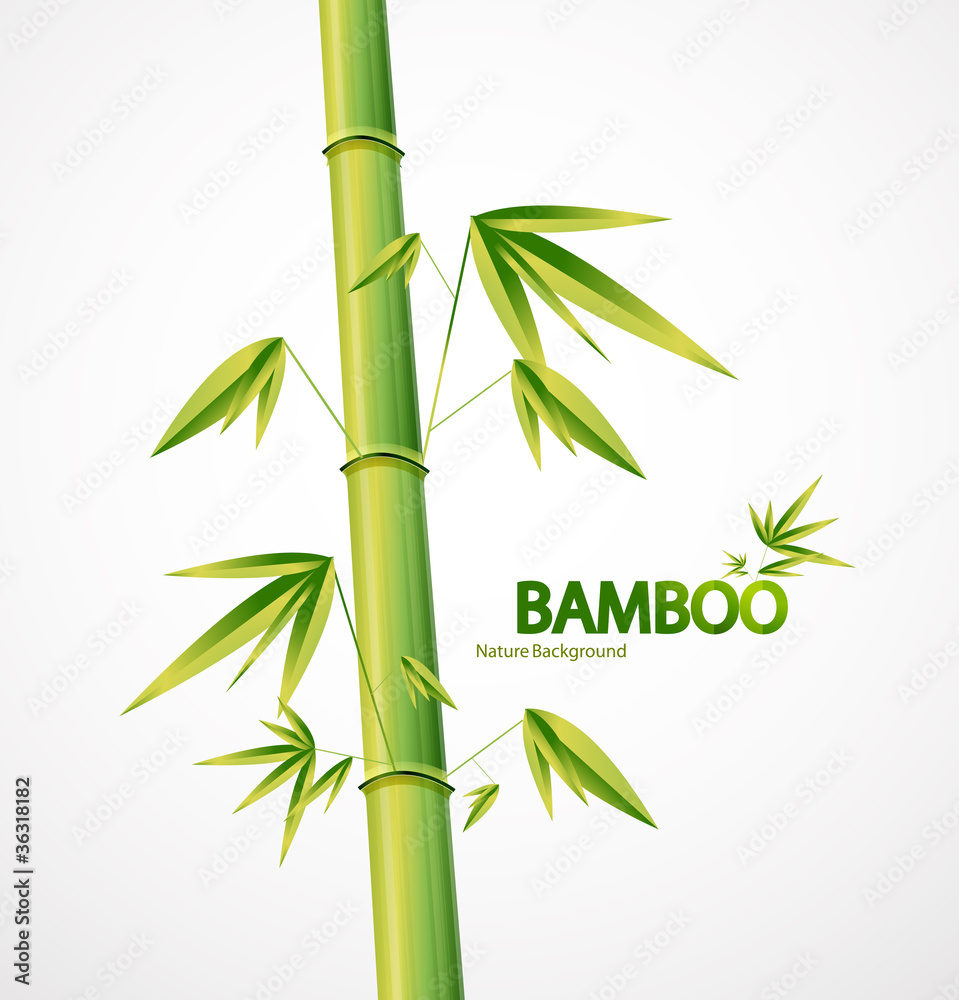 Naklejka premium Bamboo stem abstract nature background