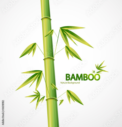 Fototapeta Naklejka Na Ścianę i Meble -  Bamboo stem abstract nature background