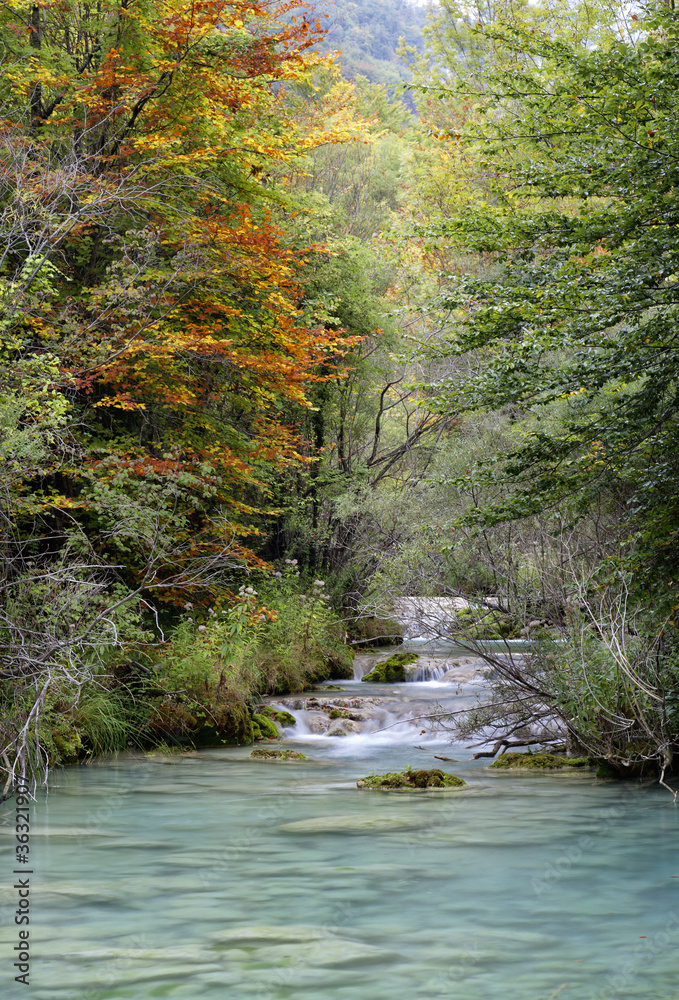 Magical autumn Magical autumn
