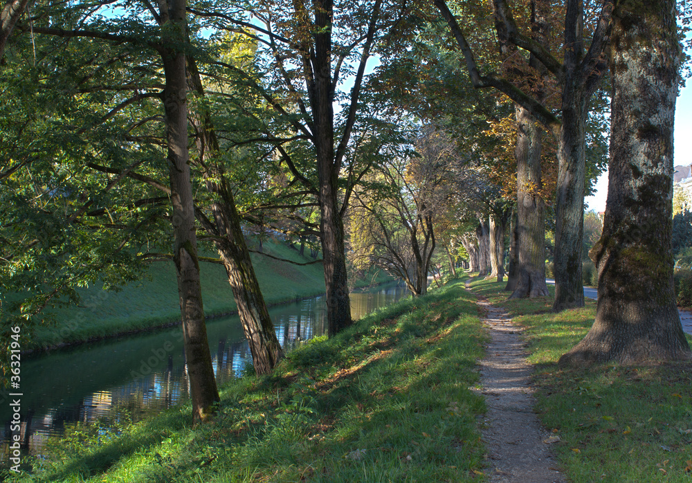 Pathway next to a river in the woods