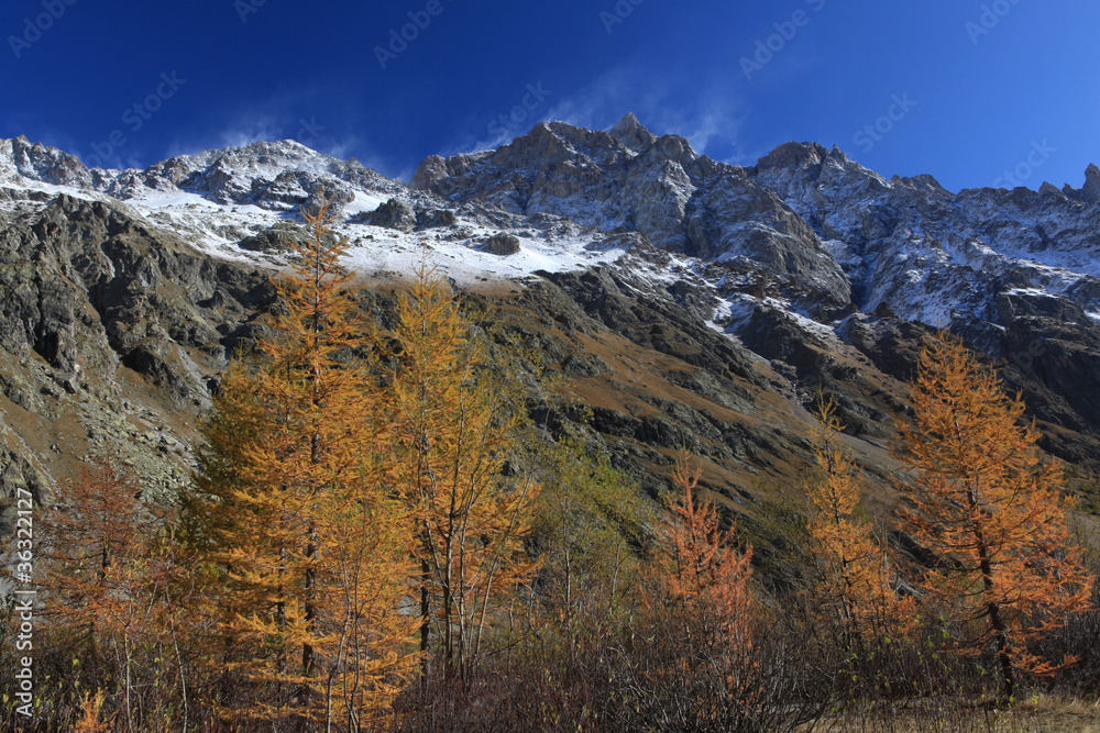 tempète de neige