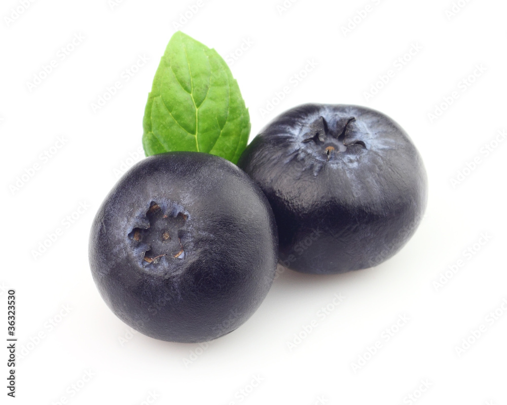 Obraz premium Blueberry with mint