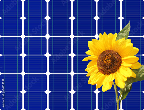 solaranlage und sonnenblume