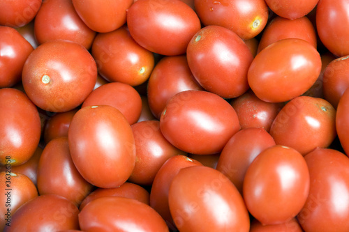 lots of fresh red tomatoes