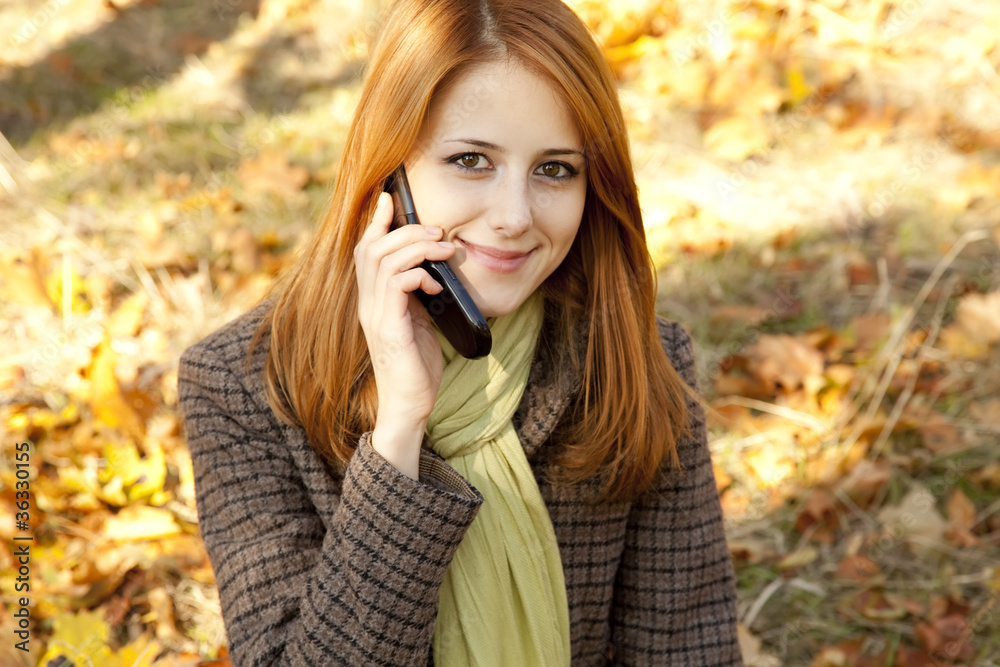 Red-haired girl calling by the phone in the autumn park. Red-haired girl calling by the phone in the autumn park.