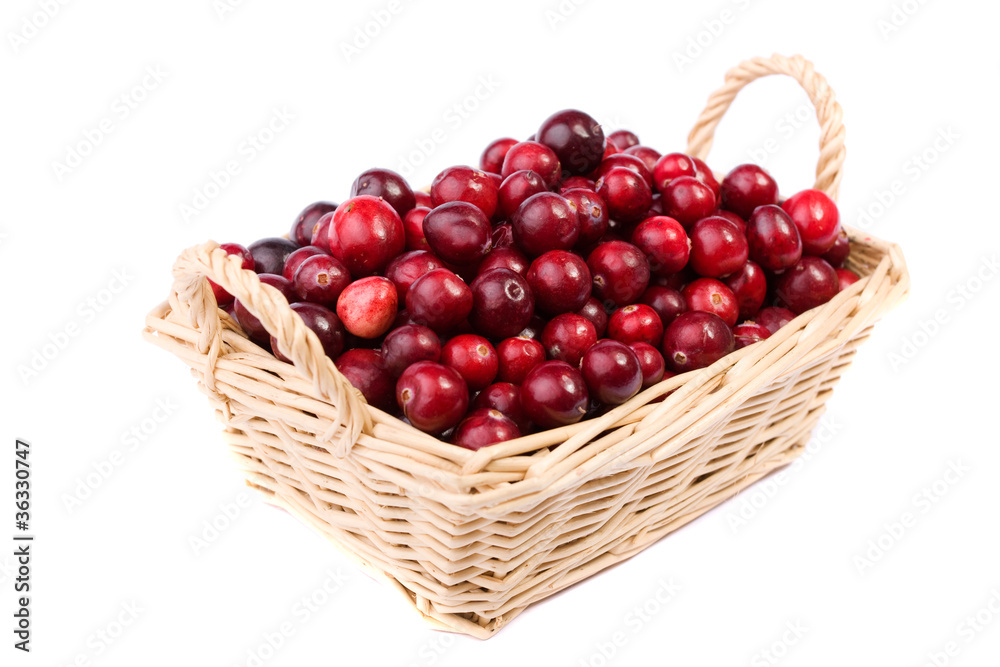 cranberry in the wicker basket isolated on white background cranberry in the wicker basket isolated on white background