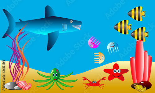 Sea life