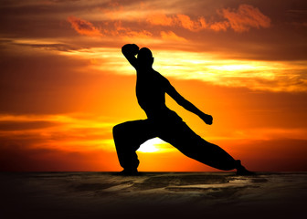 Ingelijste posters Vechtsport Martial arts training bij zonsondergang  © luceluceluce