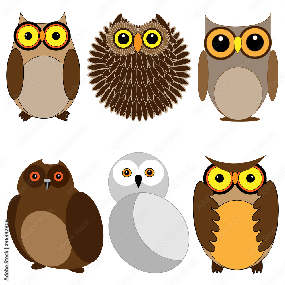 Fototapeta premium Set of different owls