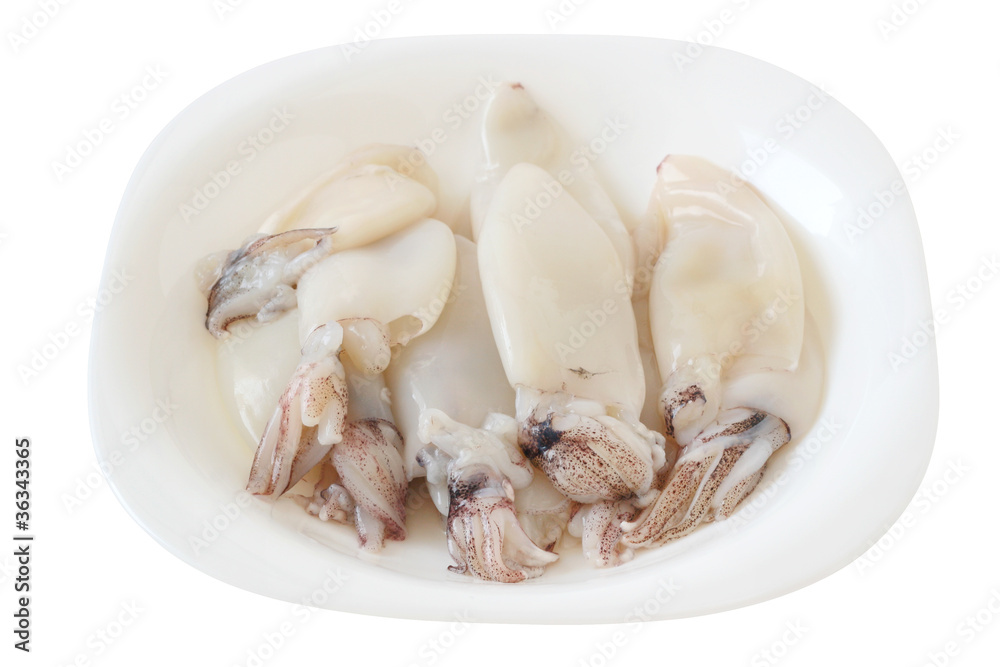 Squid on plate Squid on plate