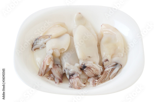 Squid on plate