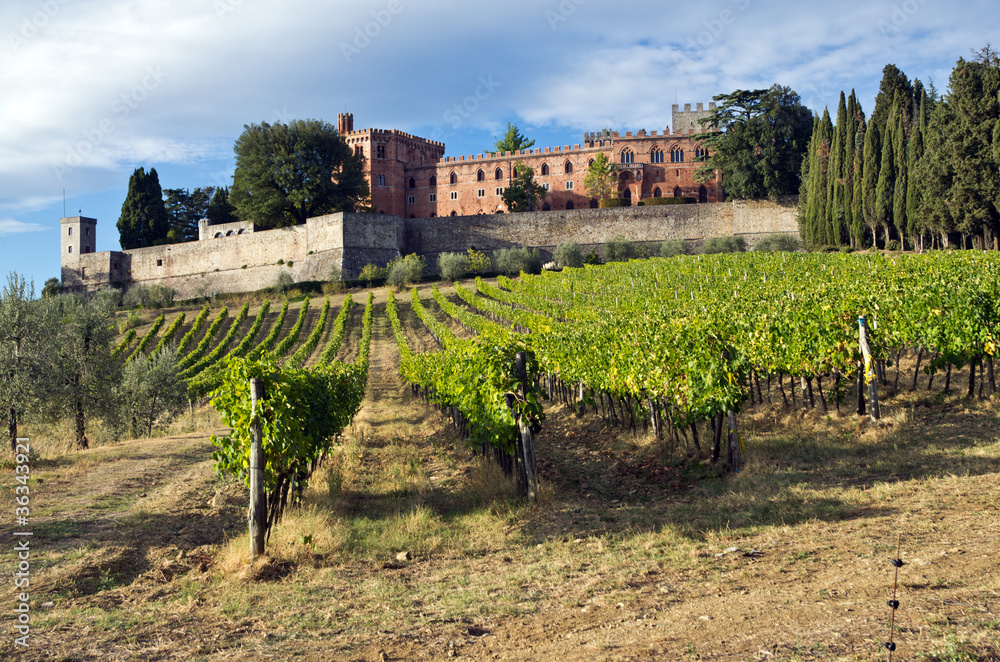 Toscana, Chianti: vigne e  Castello di Brolio