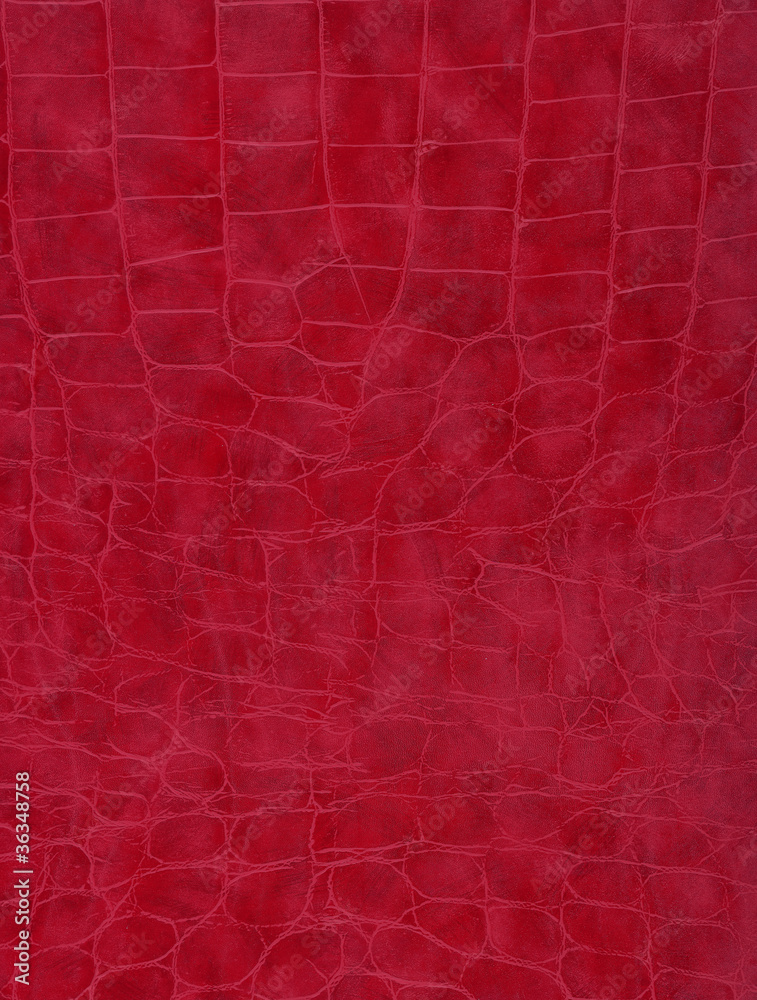 Fototapeta premium texture red
