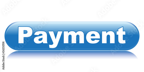 PAYMENT ICON
