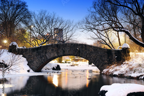Photography New York City Central Park bridge in winter