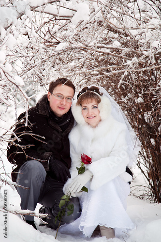 bride and groom sitting under a frozen tree