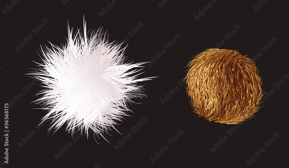 Photography fuzzball prickly