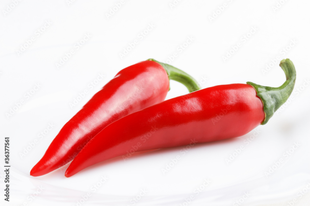 Two pods of red hot pepper