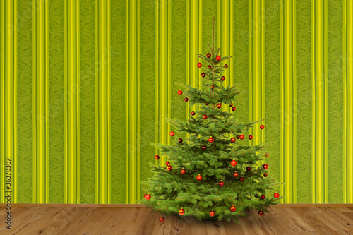 Weihnachtsbaum vor Grüner Tapete