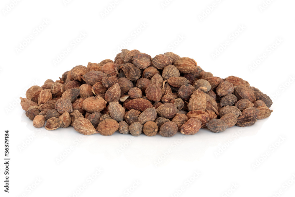 Blace Ginger Seeds Blace Ginger Seeds