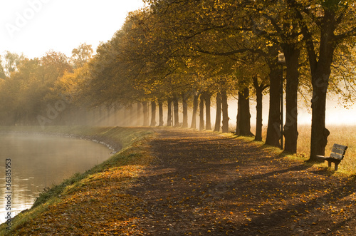 Walkway at the canal a mist...