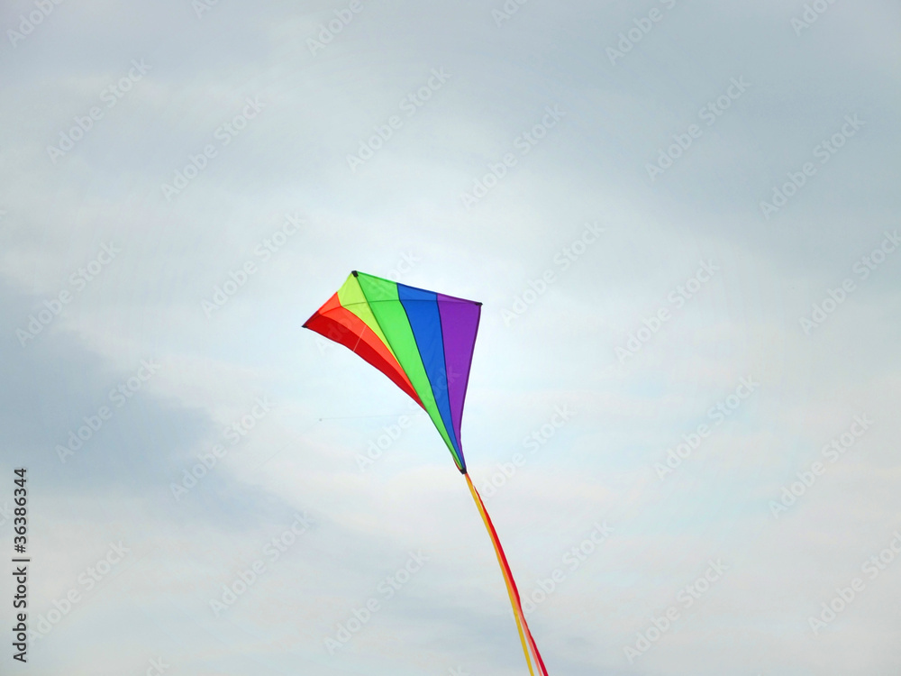 drachenfliegen drachenfliegen