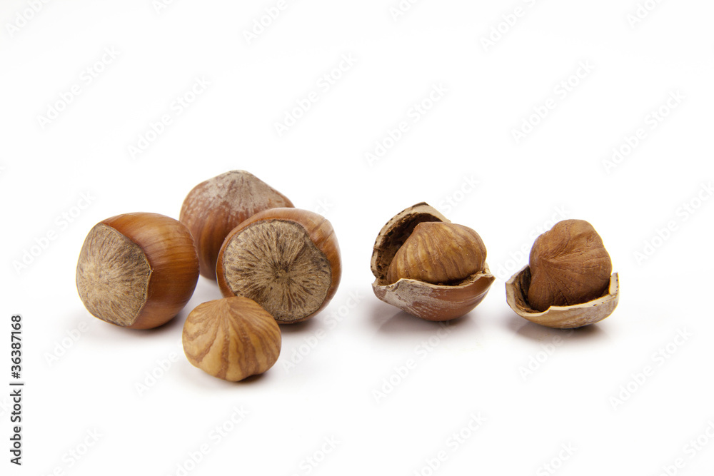 Noisette Noisette