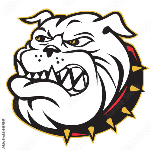 bulldog mongrel dog